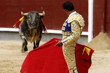 Blog-Image-Bulls-Matador